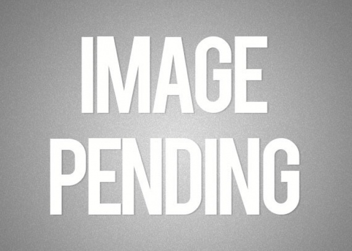 example-image